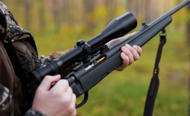 Арестуваха съдия за бракониерство в град Шипка