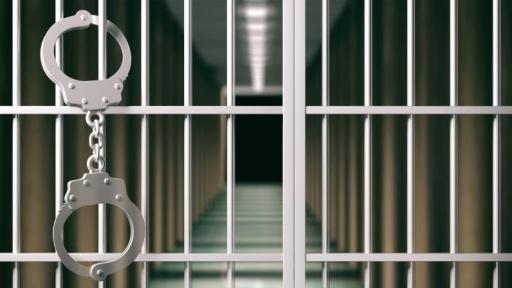 14 дни затвор за фен на „Цървена звезда“, възхвалявал Ратко Младич