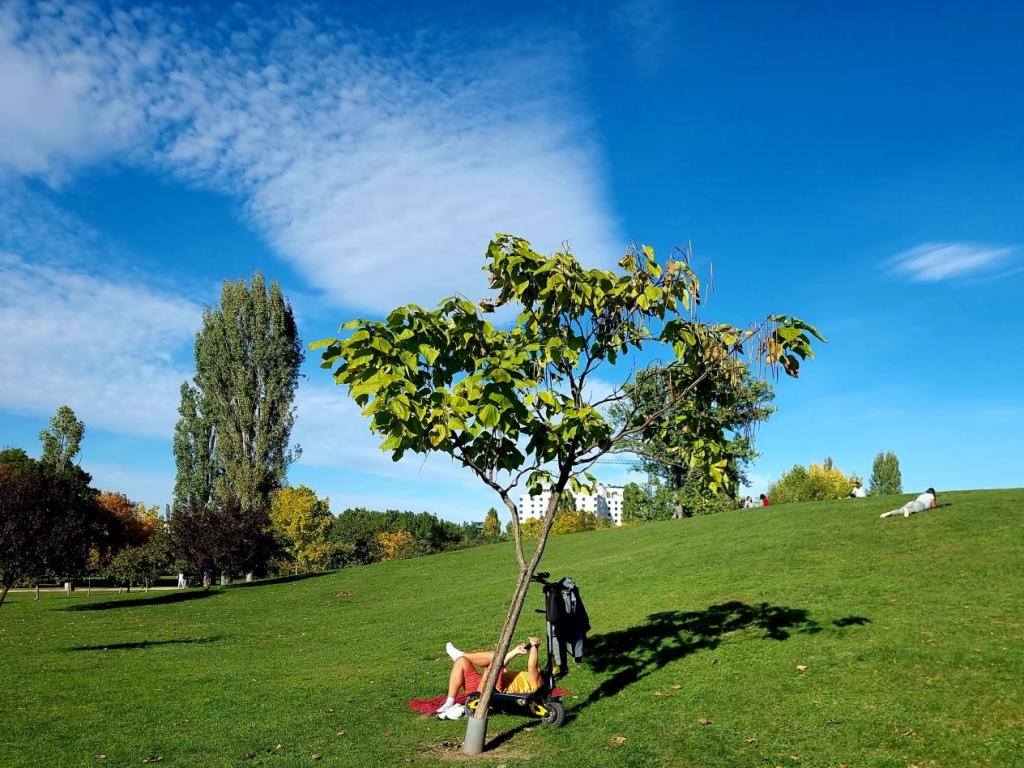 Столичната община СО ще извърши допълнителни обработки срещу комари Това