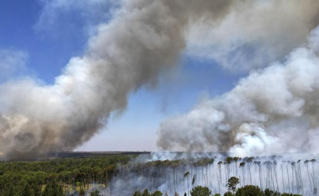 Сао Пауло и Рио де Жанейро застрашени от невиждани пожари в Бразилия