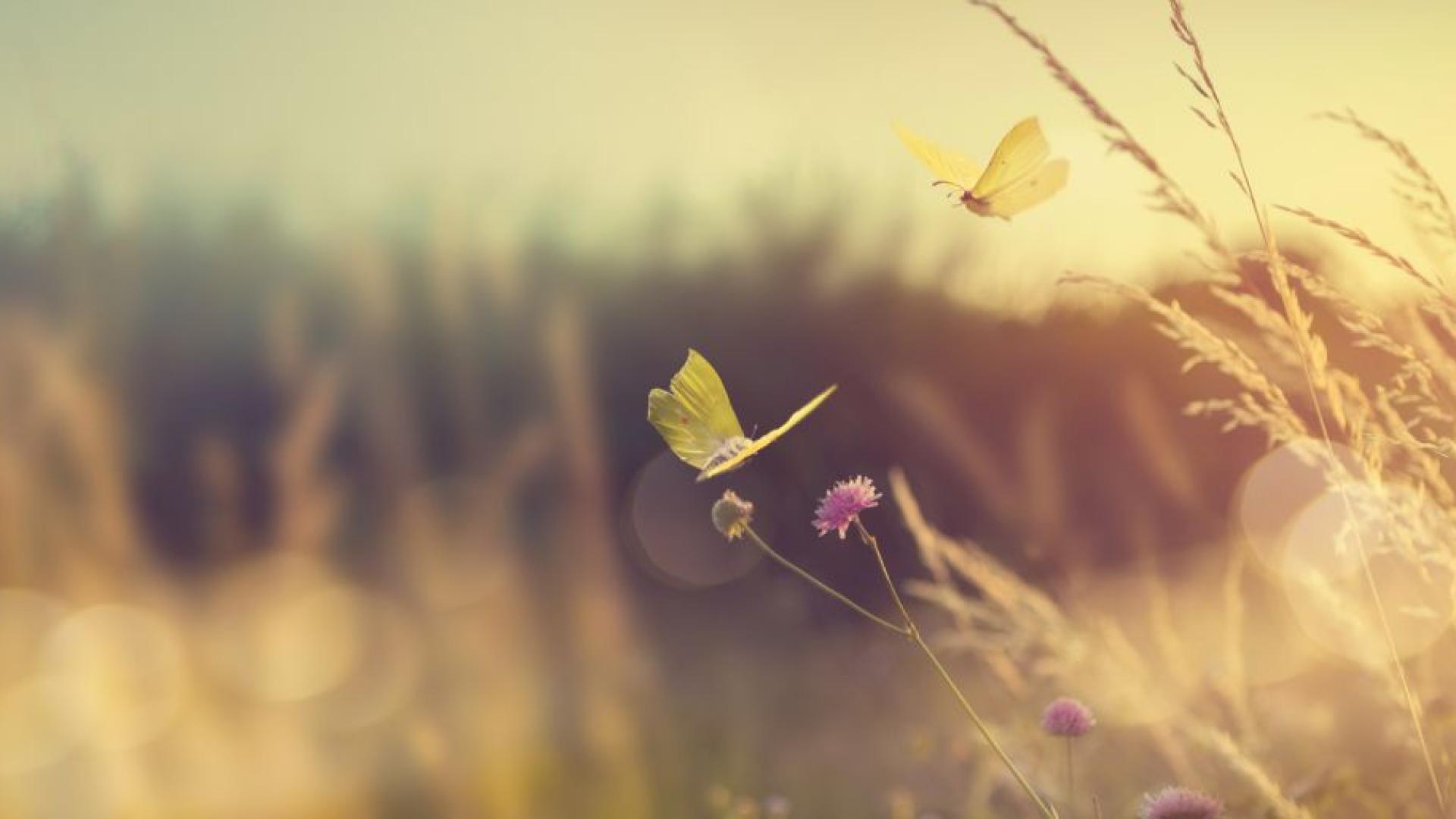 Днес ще е предимно слънчево След обяд отново над Западна