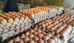 Очаква ли се скок в цената на яйцата точно преди Великден