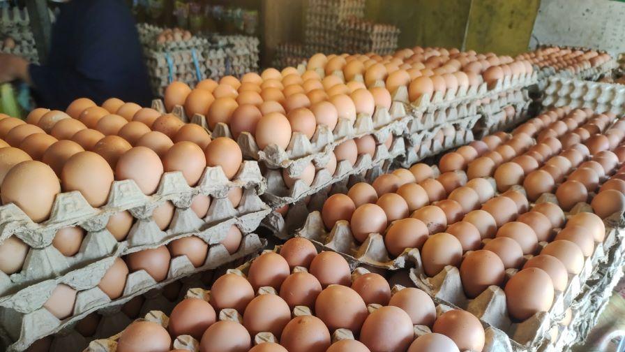 Очаква ли се скок в цената на яйцата точно преди Великден