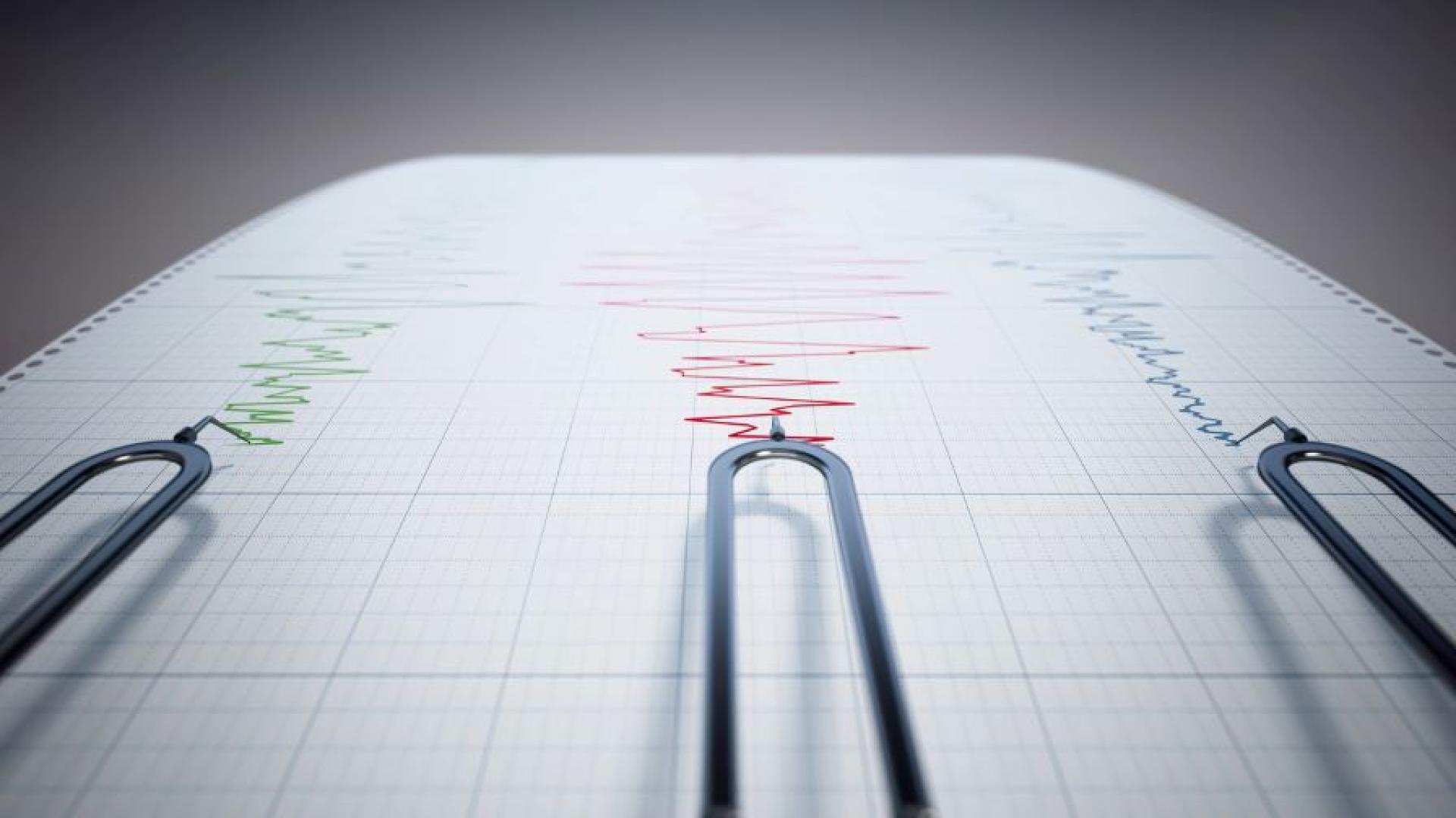 Земетресение беше регистрирано в град Добрич То е с магнитуд