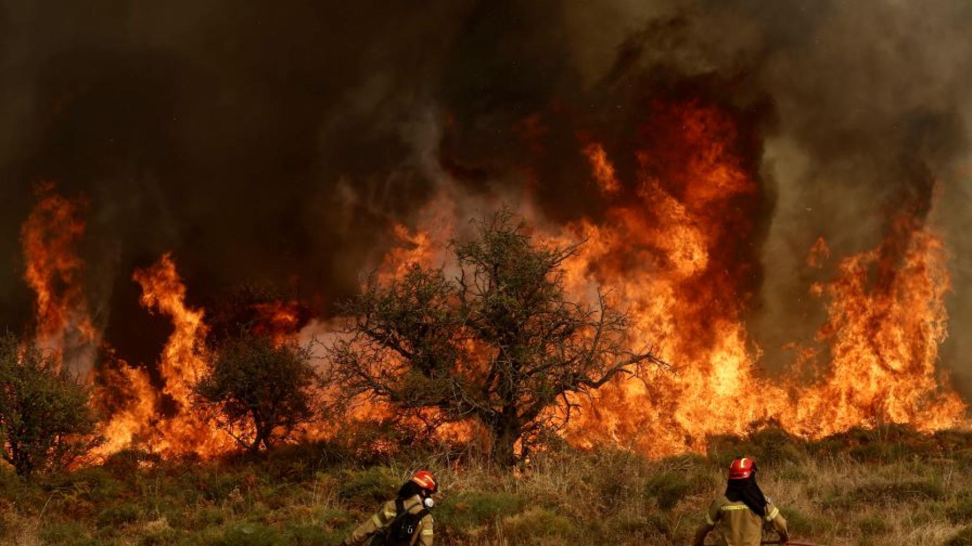 Гръцките власти предупредиха за много висок риск от горски пожари