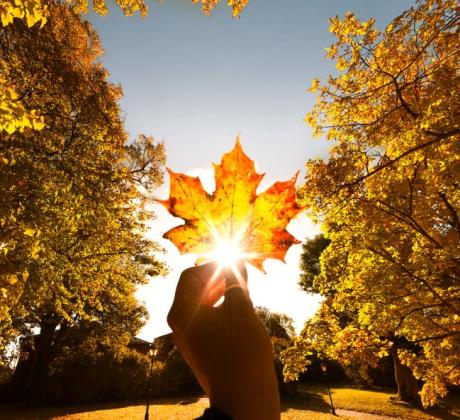 Добро утро Нека започнем деня с вдъхновяващи думи Вие никога