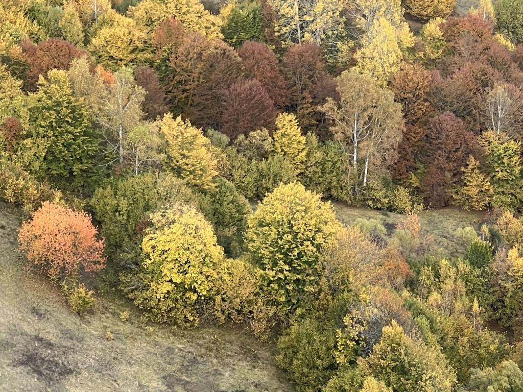 Есен в планината