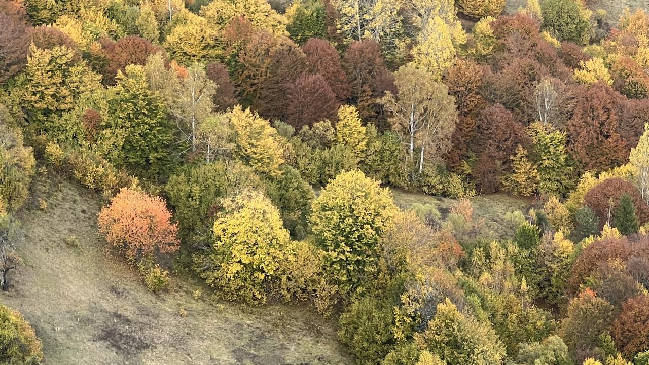 Есен в планината