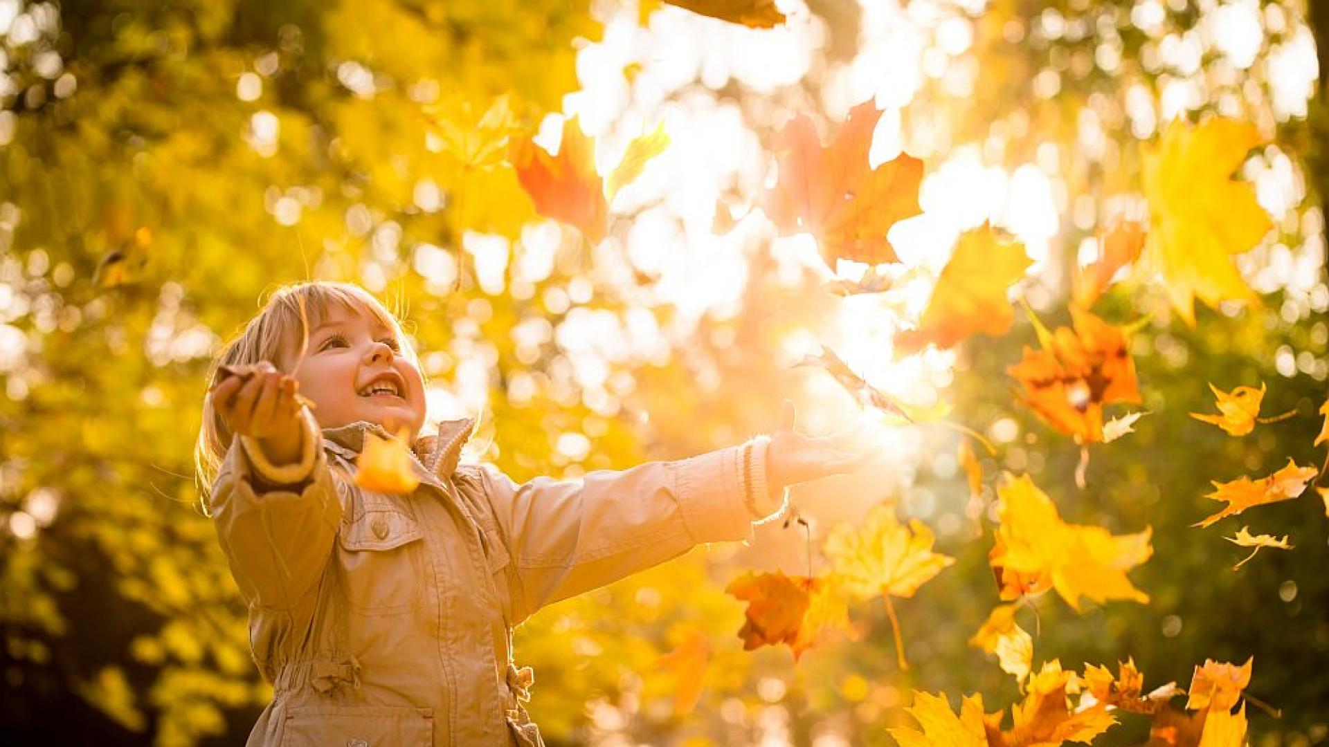 Най високите температури през септември у нас ще бъдат между 31