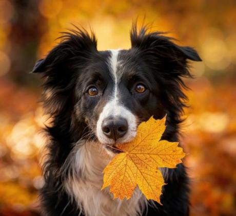 Добро утро   Нека започнем деня с вдъхновяващи думи Истински мъдрият
