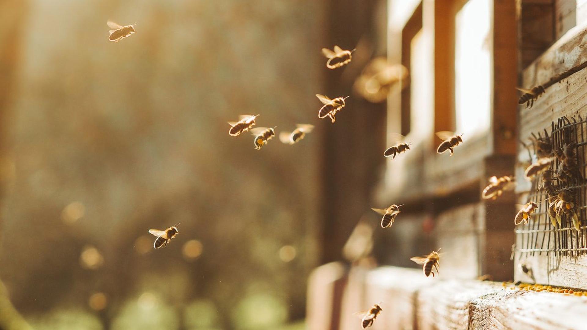 Мъж от Тексас е починал след като е бил нападнат