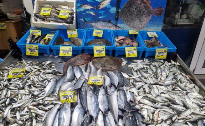 Никулден без българска риба? Рибари алармират, че 