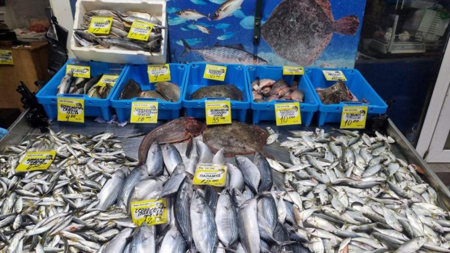 <p>Никулден без българска риба? Рибари алармират за аномалия</p>