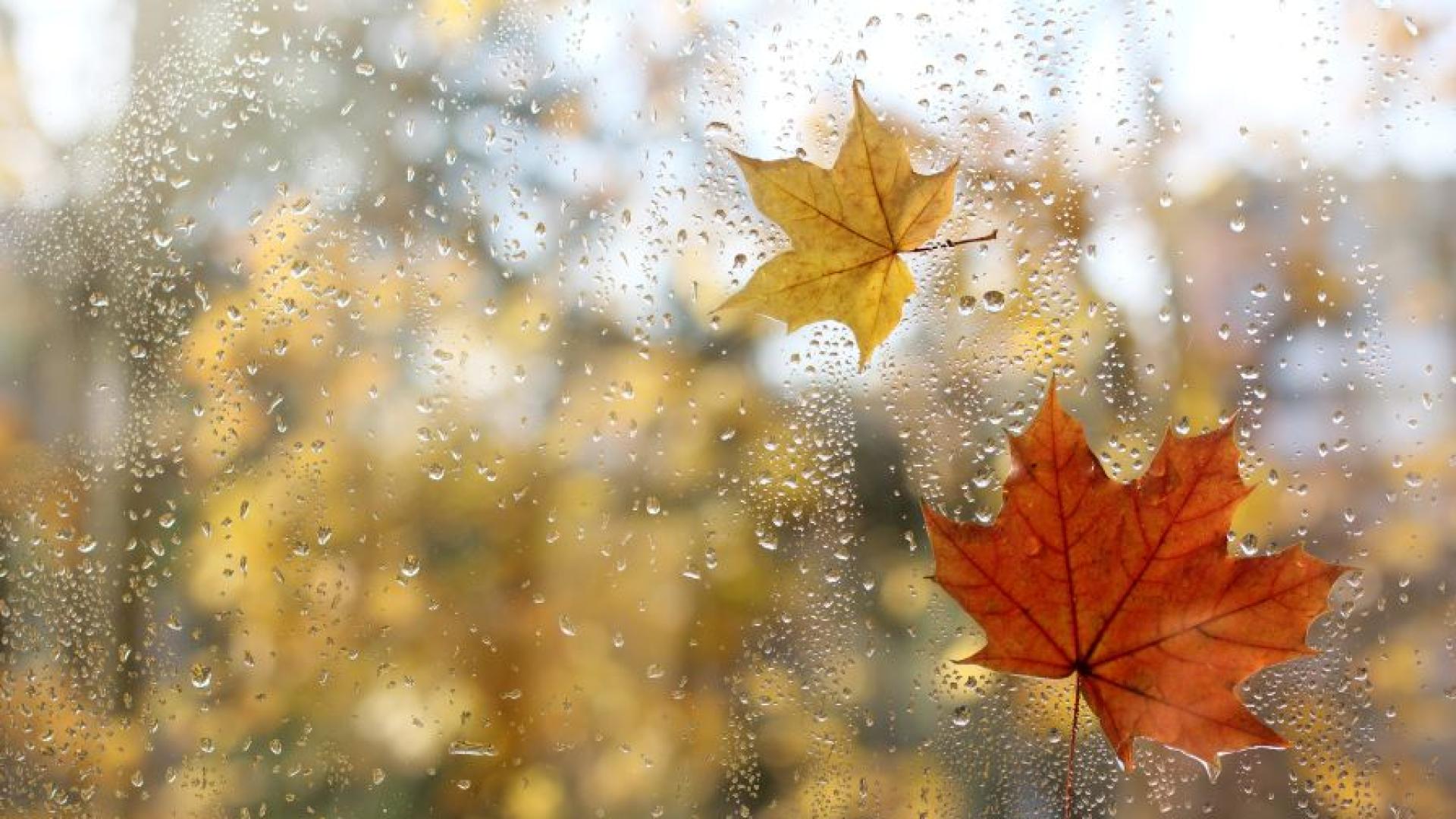 Въпреки че септември маркира началото на метеорологичната есен усещането за