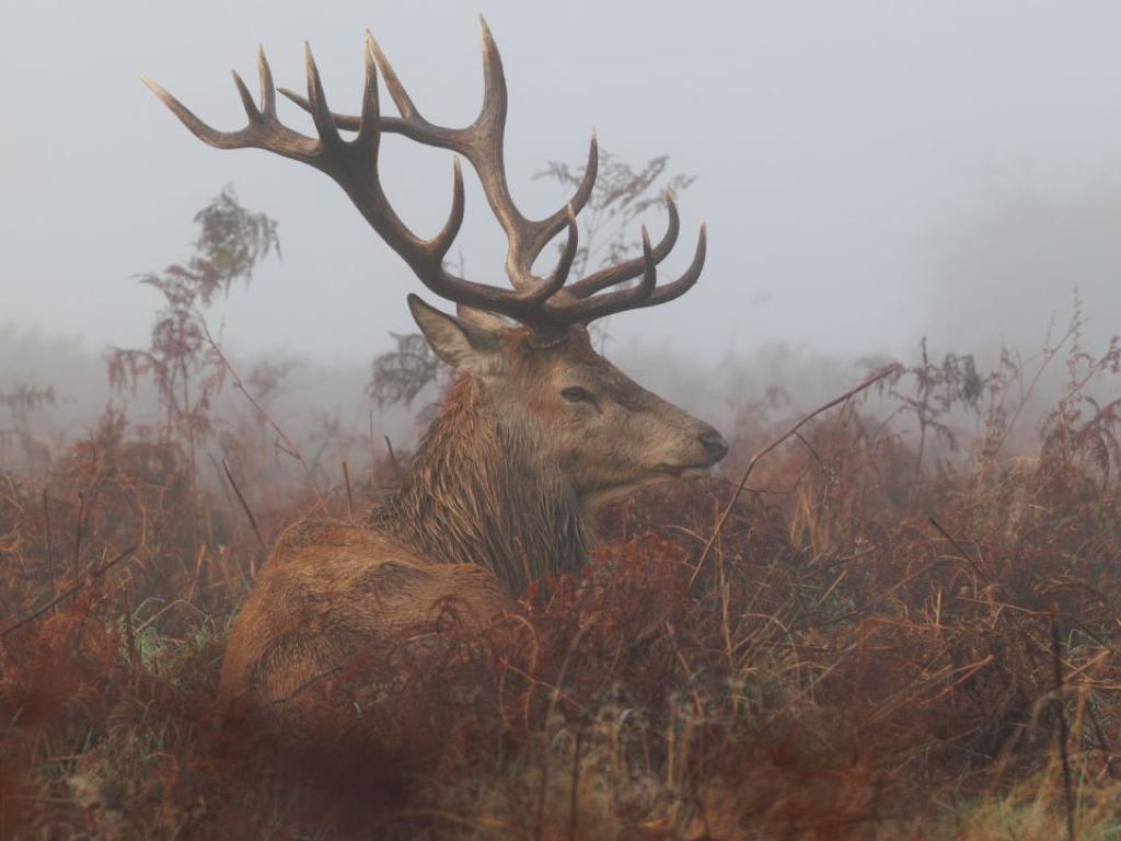 През следващото денонощие в страната ще преобладава облачно в равнините