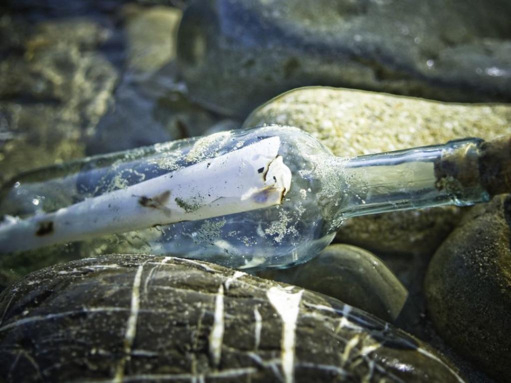 Инженери в Шотландия са изненадани когато откриват специална и рядка