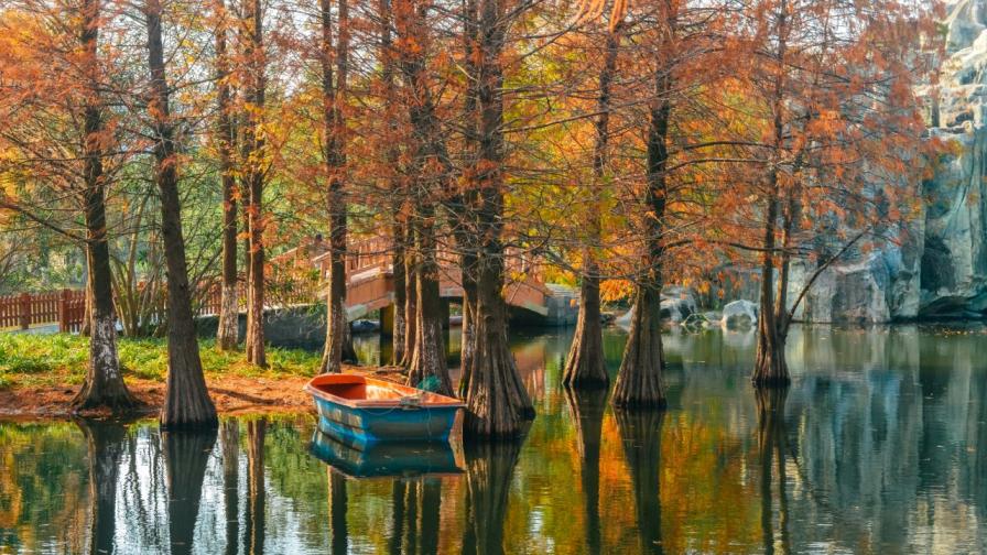 Сряда със слънце до 17 градуса, но идват мъгли и студ