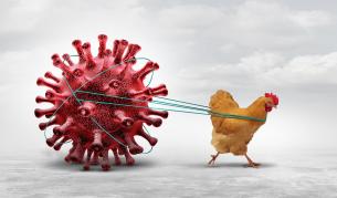 <p>Мъж&nbsp;е &bdquo;тежко болен&ldquo; с вирус, невиждан досега при хора</p>