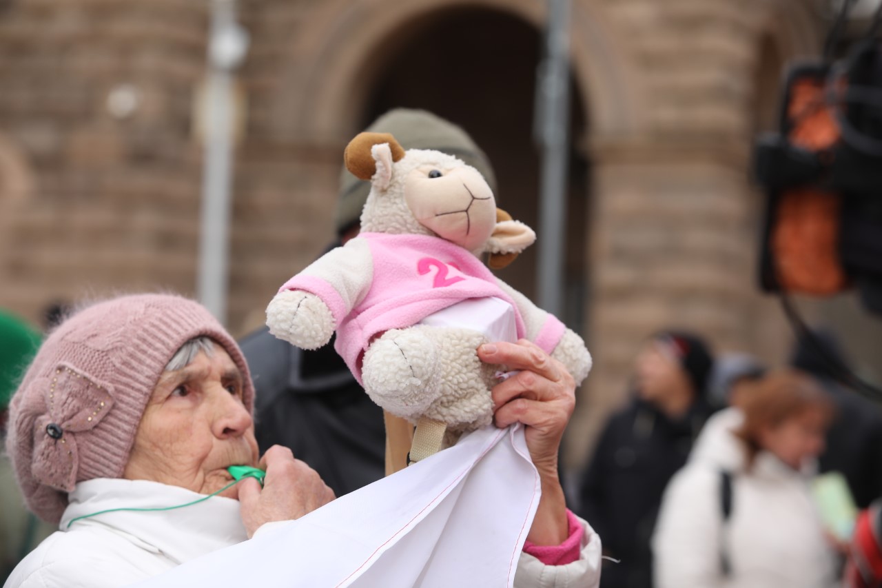 <p>Стопаните на заразените с чума животни излязоха на протест пред Министерския съвет. Те настояват за адекватни мерки от страна на държавата.</p>