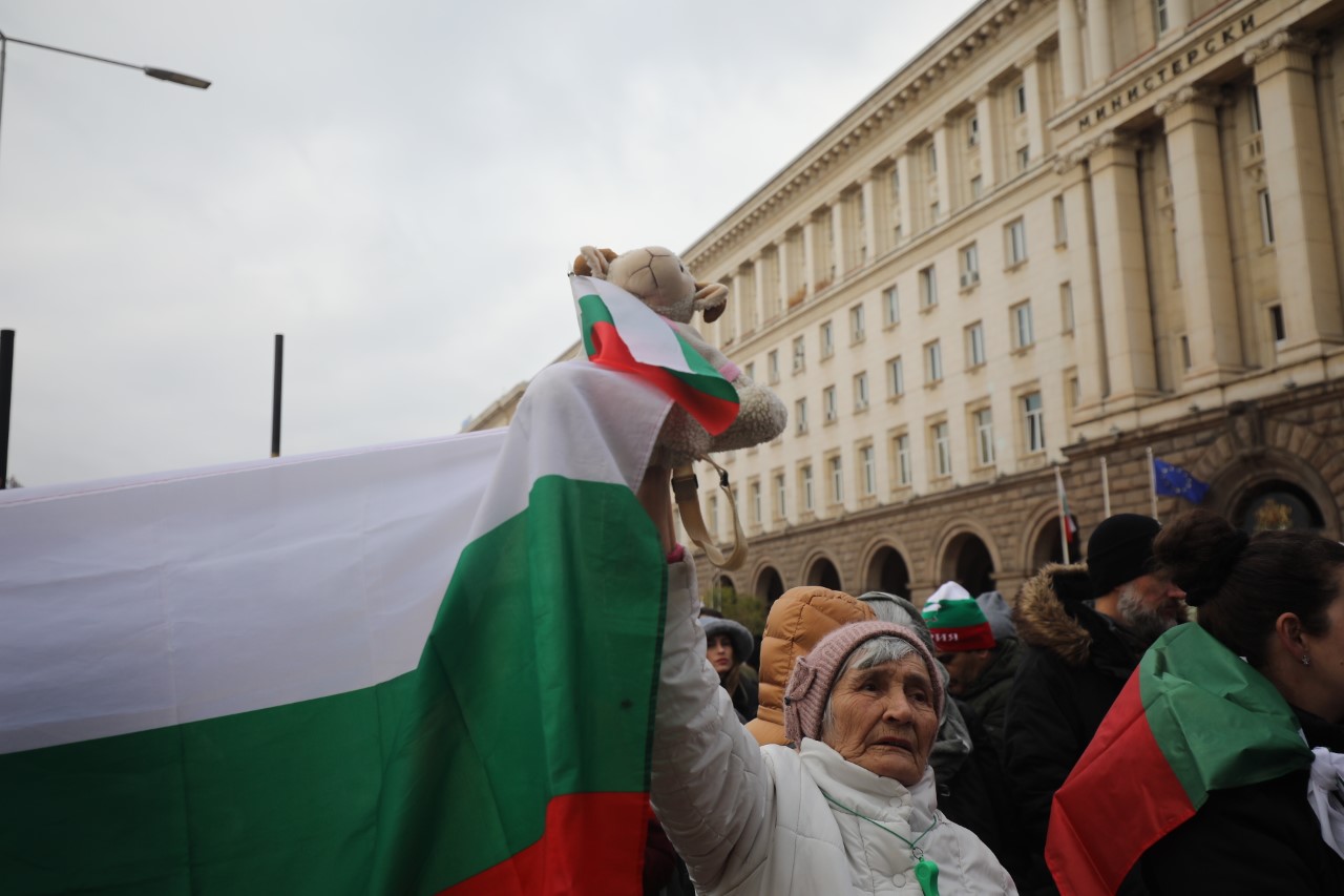 <p>Стопаните на заразените с чума животни излязоха на протест пред Министерския съвет. Те настояват за адекватни мерки от страна на държавата.</p>