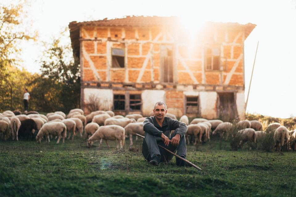  Галя Щърбева 