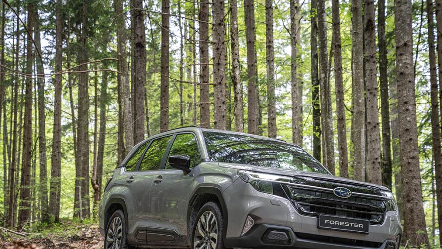 Зад волана на Subaru Forester