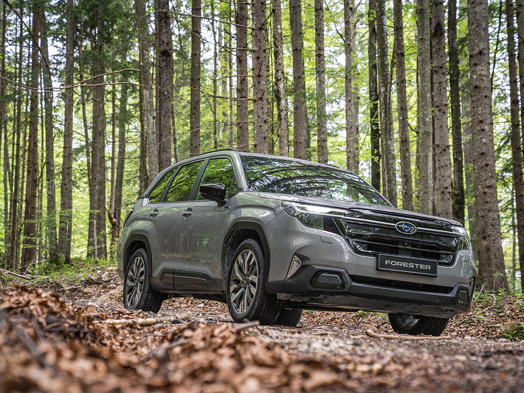 Новият Forester солиден, способен и донякъде скучен, но това го казвам във възможно най-добрия смисъл на думата, обяснявам. Освен това първите ще могат да се възползват и от много „дебела“ ценова отстъпка