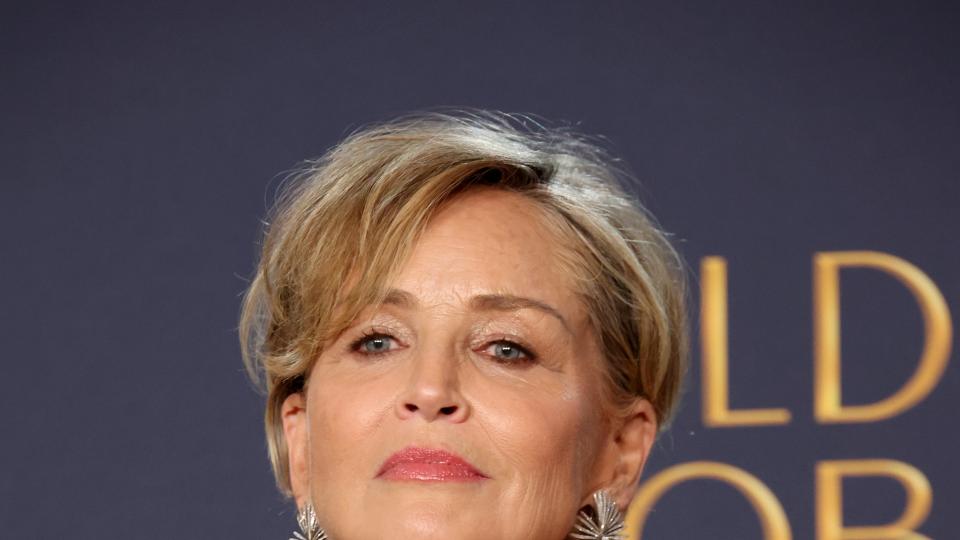 Синът на Шарън Стоун вече не е онова малко момче,