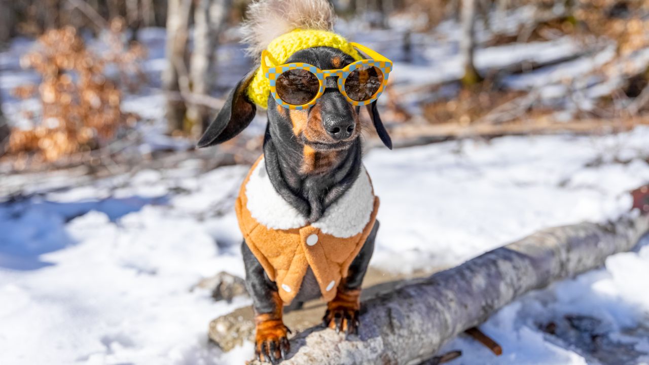 Мъгли, слаби валежи и затопляне в петък