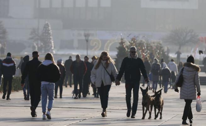 НОИ: Средният осигурителен доход за ноември 2024 г. е 1712,53 лева