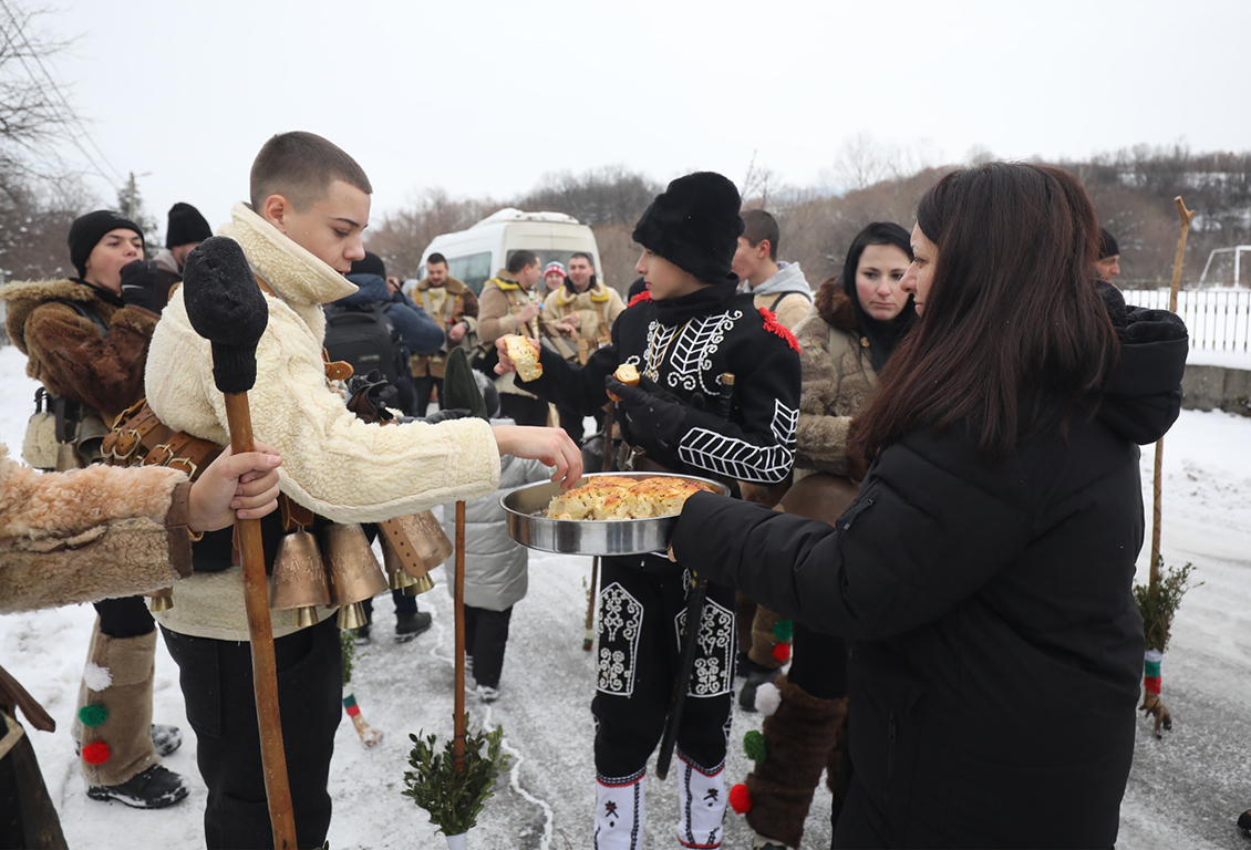 <p>Местна Сурова в село Кралев дол</p>