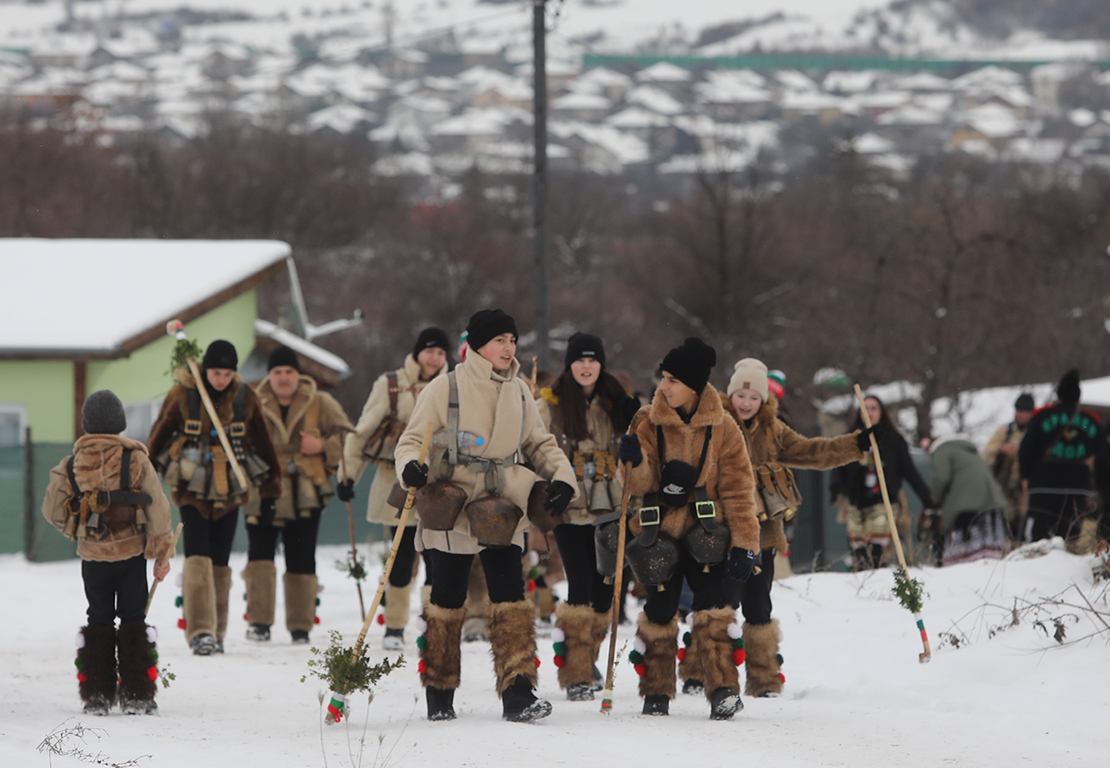 <p>Местна Сурова в село Кралев дол</p>