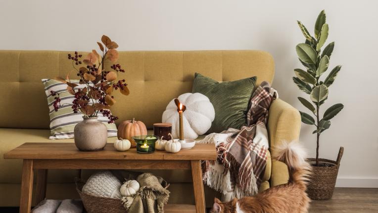  Според дизайнерите: Тези 5 предмета нямат място в един моден дом 