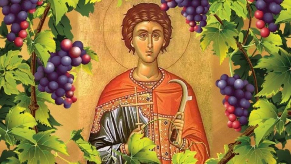 Денят на свети Трифон Зарезан е най веселият български празник.