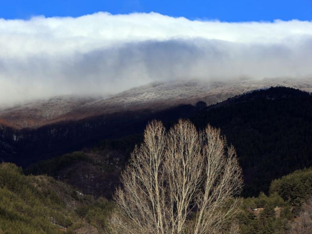 Новата седмица започва с предимно слънчево време с разкъсана средна и