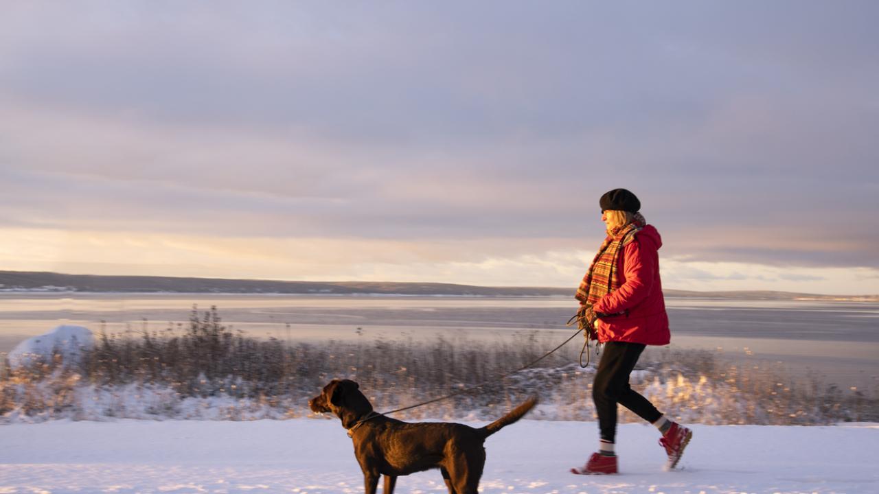 Илюстративна снимка