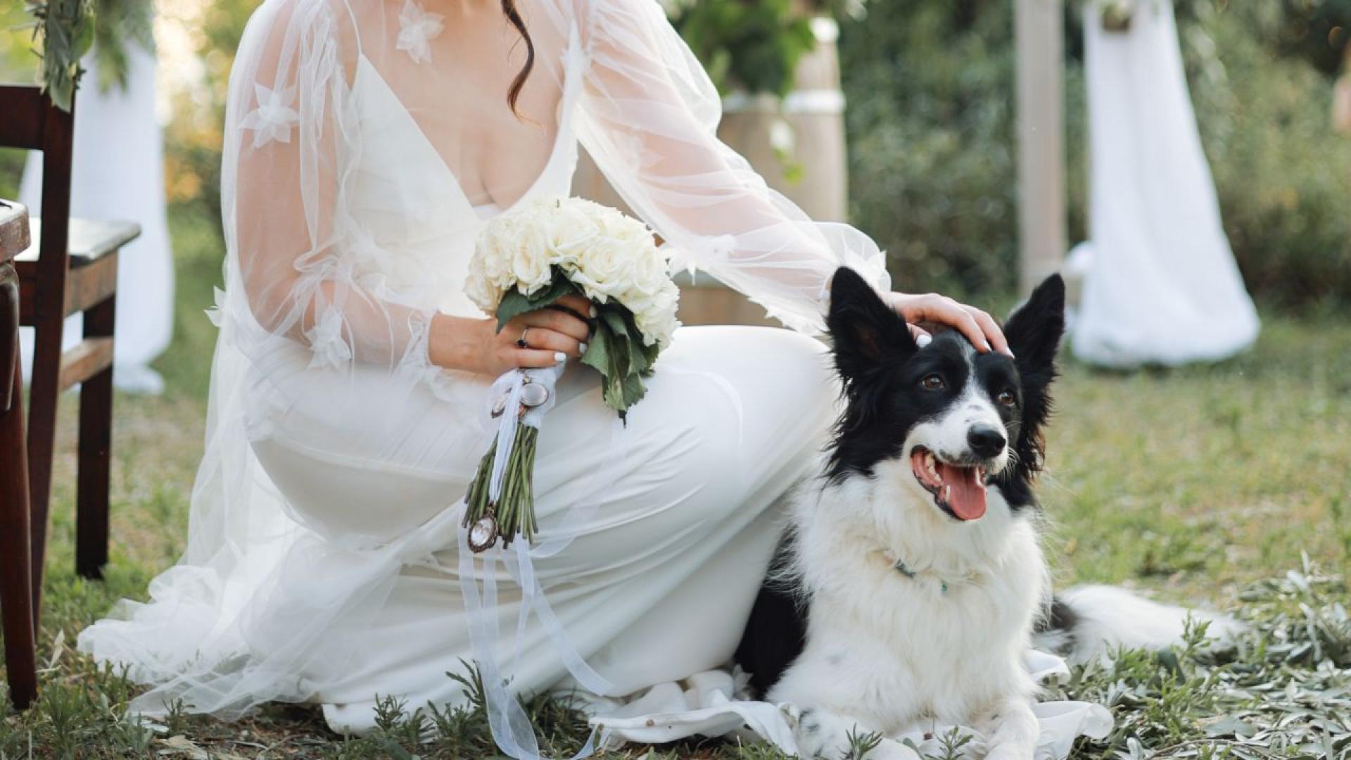 Миналата седмица потребител на Reddit сподели история за булка която