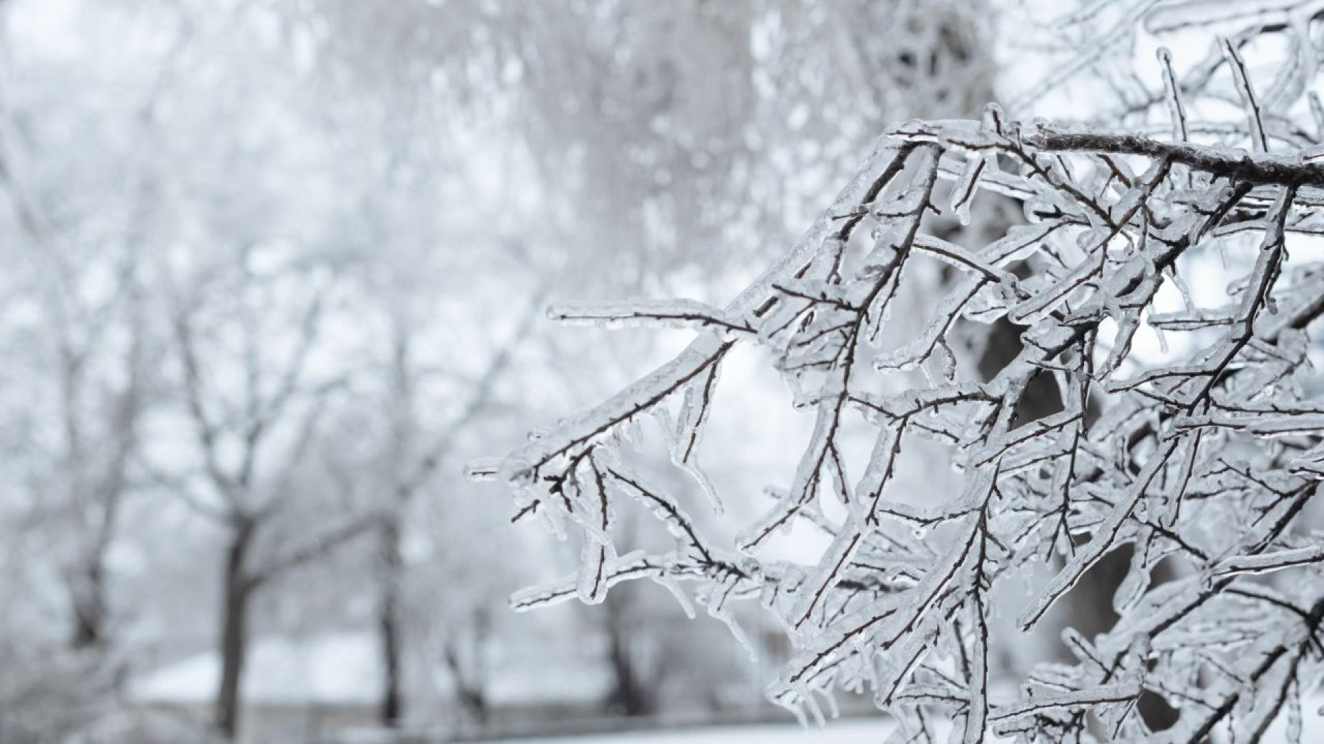 През следващите дни зимата ще покаже истинското си лице с
