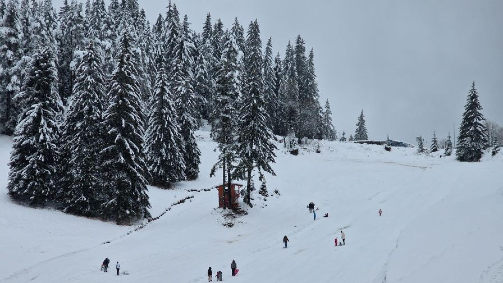 Скиор на 37 години загина на пистата Мечи чал край