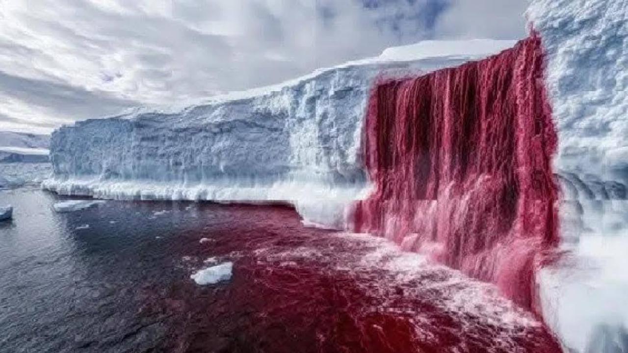 Кървавите водопади на ледника Тейлър