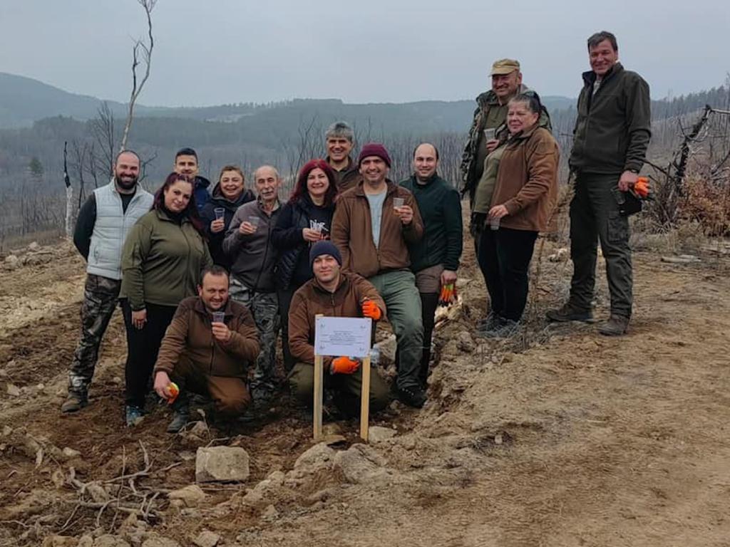 Мащабно залесяване по повод Седмицата на гората