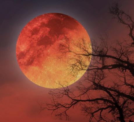 Ако се чувстваш постоянно изтощена ако започваш диети и ги