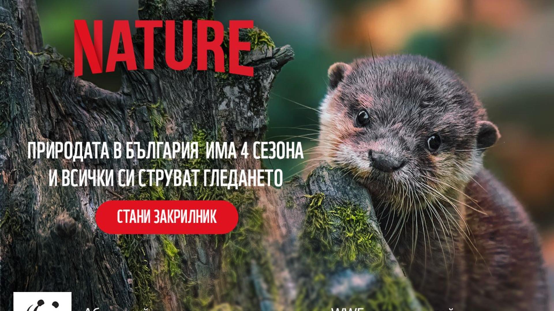Природозащитната организация WWF дава нов старт на кампанията си Абонирай