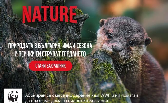 WWF със стряскащ доклад за влажните зони у нас