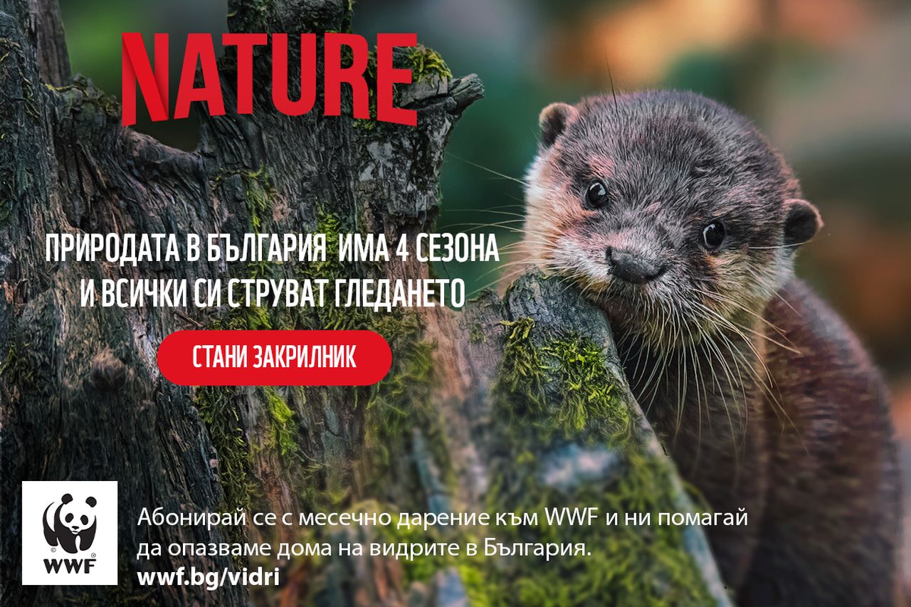 WWF със стряскащ доклад за влажните зони у нас