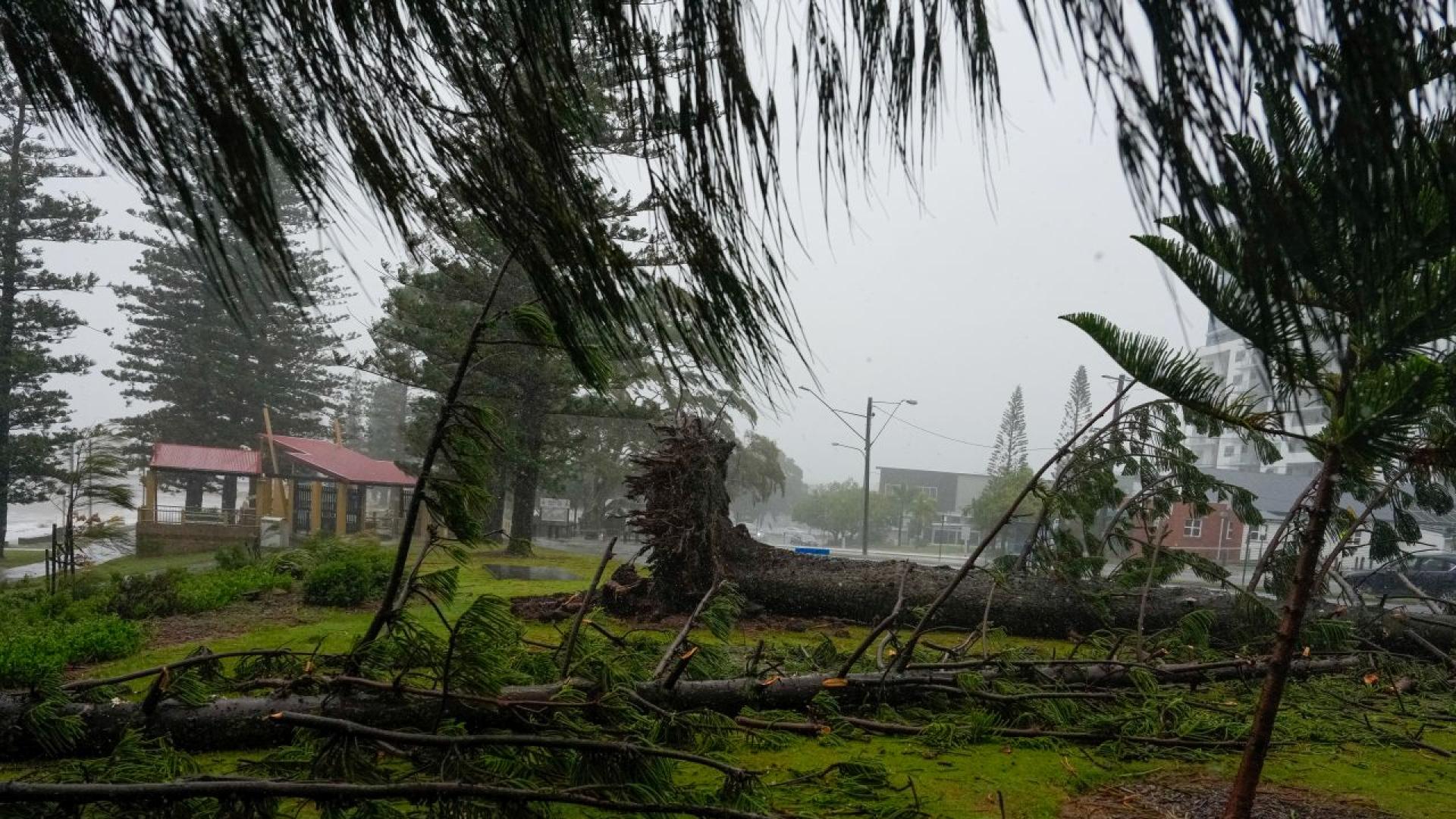 Близо 330 хиляди домакинства остават без ток по източното крайбрежие