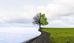 Времето полудява: От 20 градуса и гръмотевици - рязко застудяване и сняг