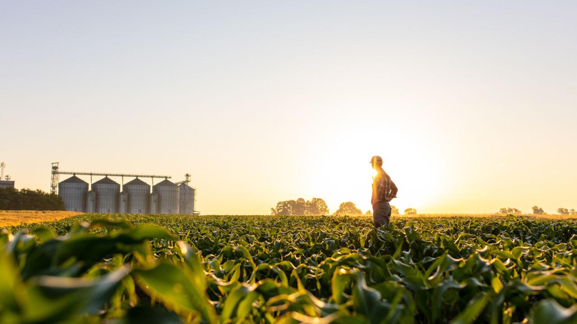 Едно от най големите предизвикателства за фермера Том Мартин от планината