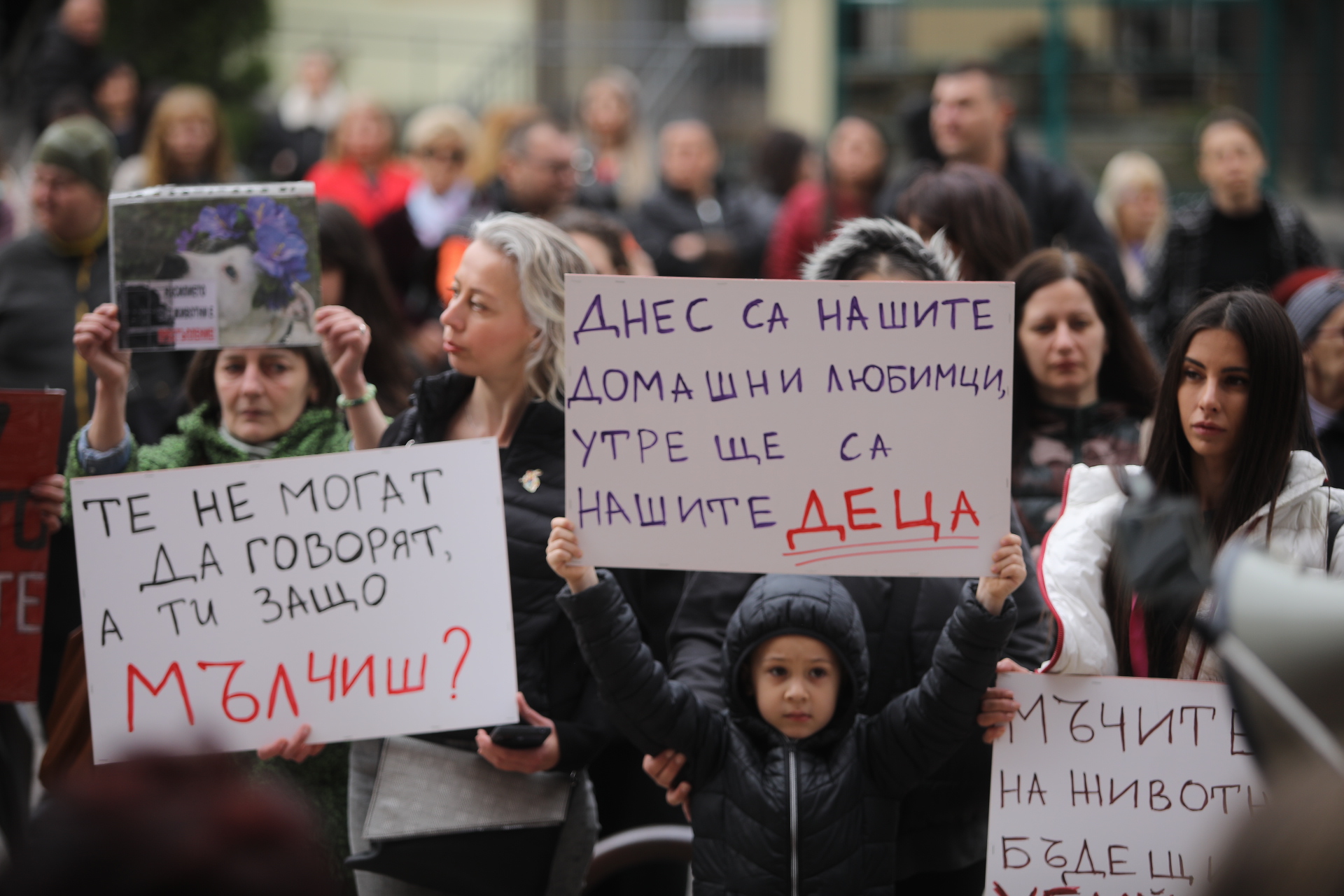 <p>Жители на Перник се събраха на протест срещу насилието над животни пред Съдебната палата в града.</p>