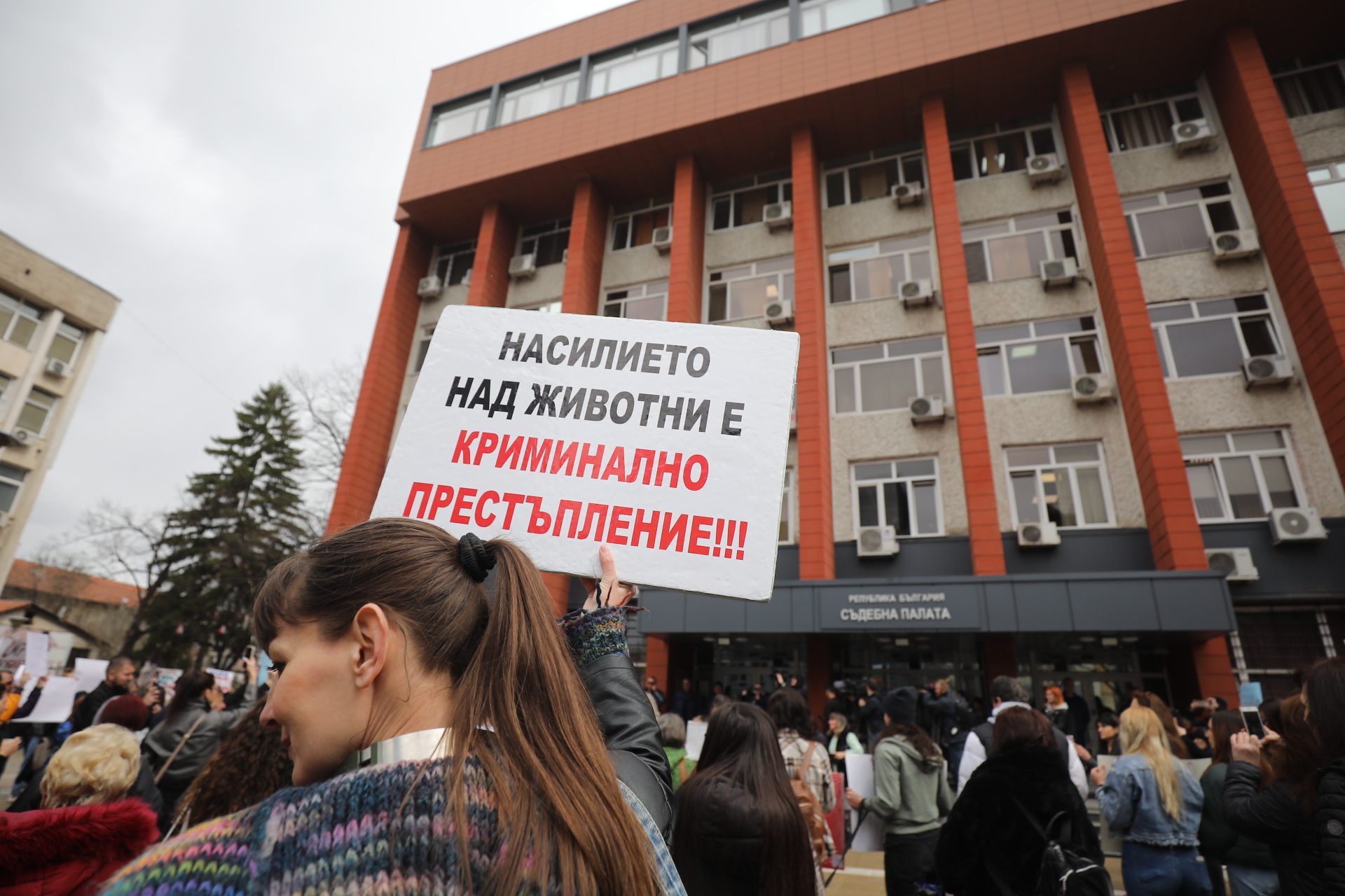 <p>Жители на Перник се събраха на протест срещу насилието над животни пред Съдебната палата в града.</p>